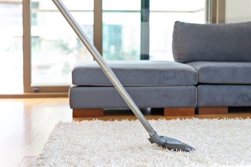 Freshly vacuumed living room rug in front of a grey sofa